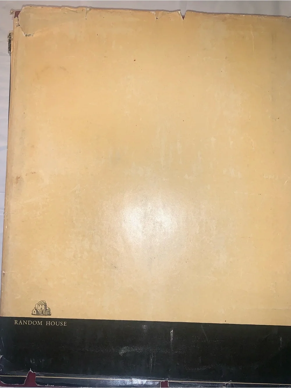 Velazquez Art Book — Hardcover
